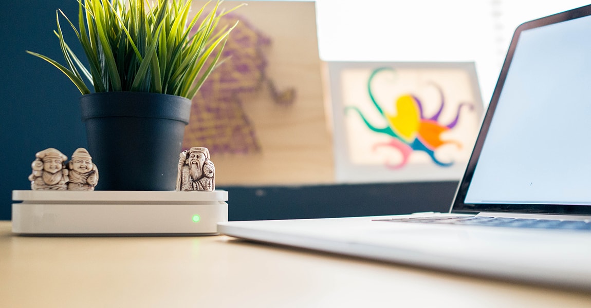 Woocommerce webshop